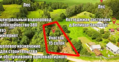 Działka w Ozyaritska Slabadski rural council, Białoruś