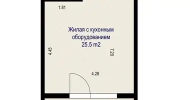 Appartement 1 chambre dans Minsk, Bélarus
