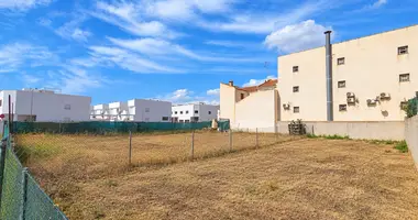 Grundstück in Pilar de la Horadada, Spanien