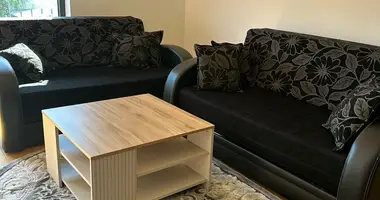 Apartamento 1 habitacion en Podgorica, Montenegro