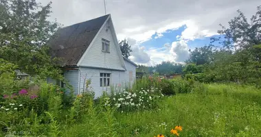 Дом в Негорельский сельский Совет, Беларусь