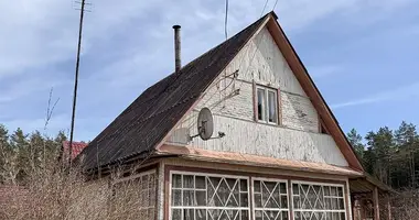 Dom 2 pokoi w Rakauski sielski Saviet, Białoruś