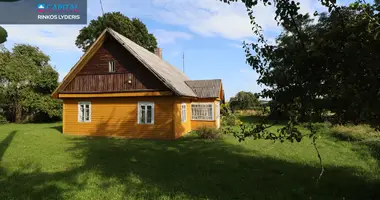 Haus in Nemaitonys, Litauen
