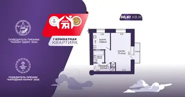 1 room apartment in Minsk, Belarus