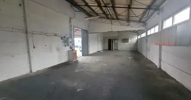 Boutique 100 m² dans Voïvodie de Petite-Pologne, Pologne