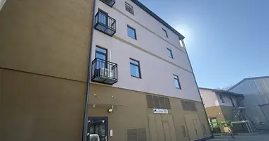 Propiedad comercial 100 m² en Riga, Letonia