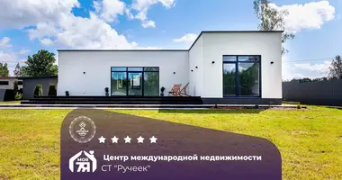 Haus in Lasanski sielski Saviet, Belarus
