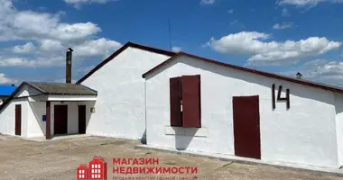 Produktion 978 m² in Putryskauski sielski Saviet, Belarus
