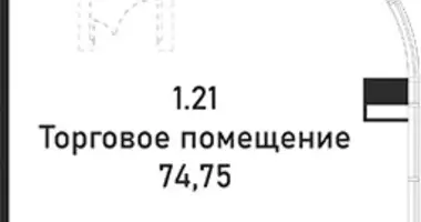 Commercial property 75 m² in Moscow, Russia