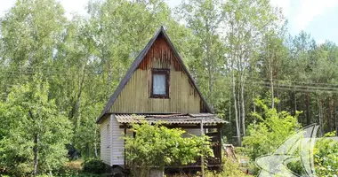 Maison dans Muchaviecki sielski Saviet, Bélarus