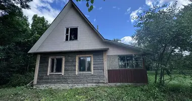 Дом в Швабский сельский Совет, Беларусь