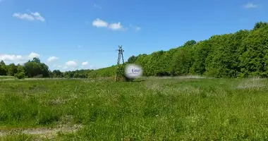 Terrain dans Pyatidorozhnoye, Russie