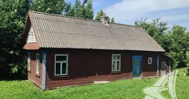 Dom w Aziacki sielski Saviet, Białoruś