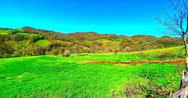Plot of land in Cal, Turkey