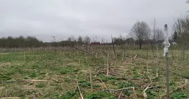 Plot of land in Bolsevrudskoe selskoe poselenie, Russia