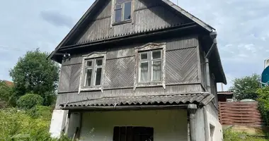 Дом в Ждановичский сельский Совет, Беларусь