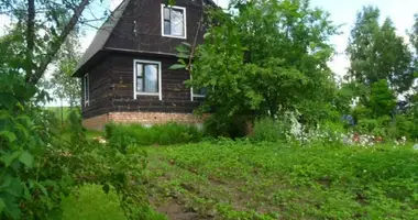 Dom w Piatryskauski sielski Saviet, Białoruś