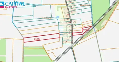 Plot of land in Liesiskis, Lithuania