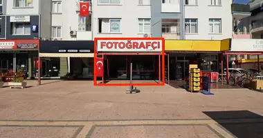 Магазин 350 м² в Енишехир, Турция