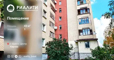 Commercial property 10 m² in Muchaviecki sielski Saviet, Belarus