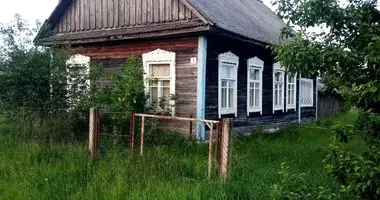 House in Vialikija Cucavicy, Belarus