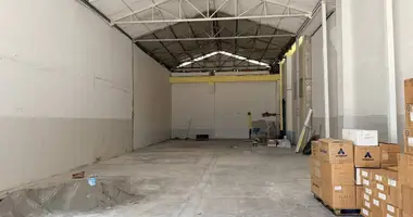 Propriété commerciale 600 m² dans Tirana, Albanie