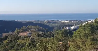 Casa 5 habitaciones en Benahavis, Španjolska