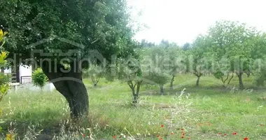 Parcela en Pefkochori, Grecia