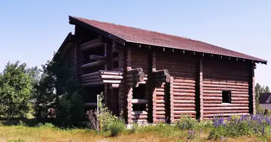 House in Prudzisca, Belarus