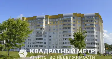2 room apartment in Minsk, Belarus