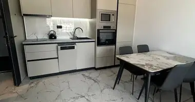 Wohnung 1 Schlafzimmer in Bjelisi, Montenegro