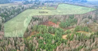 Plot of land in Maidonys, Lithuania