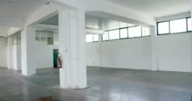 Propiedad comercial 1 300 m² en Terni, Italia