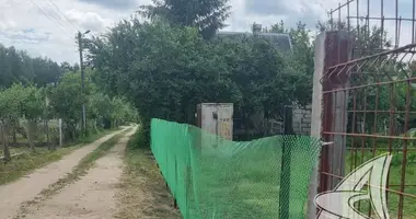 Участок земли в Чернавчицкий сельский Совет, Беларусь