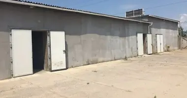 Commercial property 180 m² in Avanhard, Ukraine