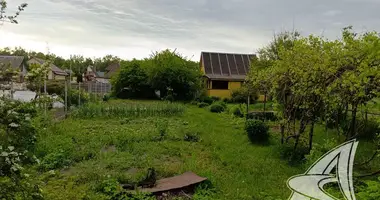 Plot of land in Muchaviecki sielski Saviet, Belarus