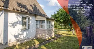 House in Krasnienski sielski Saviet, Belarus