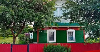 Dom w Smolewicze, Białoruś