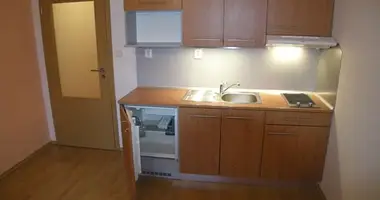 Appartement 1 chambre dans okres Brno mesto, République tchèque