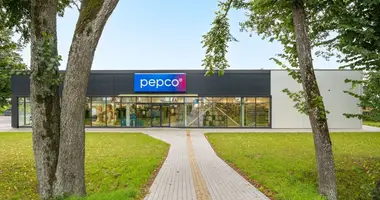 Commercial property 587 m² in Pagegiai, Lithuania