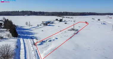 Grundstück in Ilgakiemis, Litauen