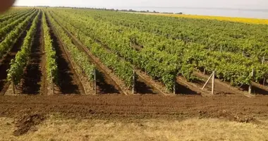 Grundstück in Lymanka, Ukraine