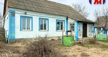 House in Kryvicy, Belarus