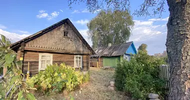 Dom w Uzdzienski sielski Saviet, Białoruś