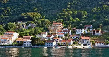 Propiedad comercial en Montenegro