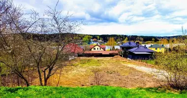 Plot of land in Astrashitskagaradokski rural council, Belarus