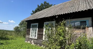 Haus in Zaludocki sielski Saviet, Belarus