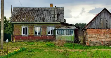 House in Prybarski sielski Saviet, Belarus