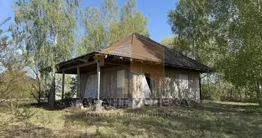 Dom w Cerninski sielski Saviet, Białoruś