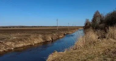 Casa en Ciareskavicki sielski Saviet, Belarús